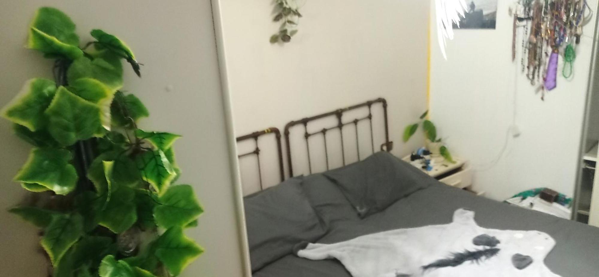 Homestay Gascona Con Deli Oviedo